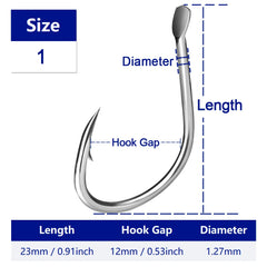 50219135336748|50219135435052|50219135467820