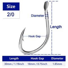 50219134583084|50219134615852|50219134648620