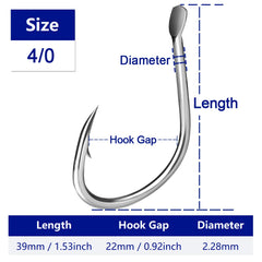 50219134386476|50219134419244|50219134714156