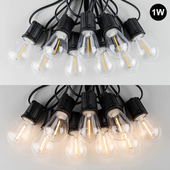 49995352342828|49995352441132|49995352473900|49995352539436