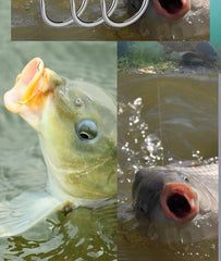 FTK High Carbon Steel Fishing Hooks 12Pcs/Pack Automatic Flip Sharp with ring 6-13# Barbed Fishhook for Carp Fishing Accessories