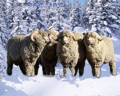 2 Pairs Merino Wool Ski Hiking Socks Men Women Winter Outdoor Sports Mountaineering Thermal Socks Thicken Breathable Size 35-47